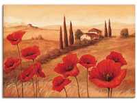 Artland Wandbild Mohnblumen in der Toskana, Europa (1 St), als Leinwandbild,...