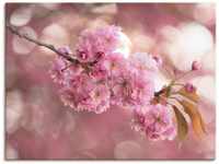 Artland Wandbild Japanische Kirschblüte in Love III, Blumen (1 St), als...