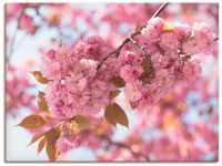 Artland Wandbild Japanische Kirschblüte in Love I, Blumen (1 St), als...