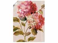 Artland Wandbild Harmonische Hortensien, Blumen (1 St), als Leinwandbild,...