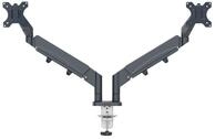 LEITZ Schwenkarm 6537 Monitorarm Ergo Dual - h&ouml;henverstellbar, samtgrau