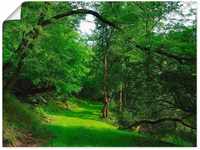 Artland Wandbild Grüner Weg durch den Wald, Wald (1 St), als Leinwandbild,...