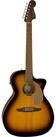 Fender Westerngitarre, Westerngitarren, Grand Auditorium Gitarren, Newporter Player