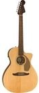 Fender Westerngitarre, Westerngitarren, Grand Auditorium Gitarren, Newporter Player