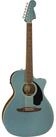 Fender Westerngitarre, Westerngitarren, Grand Auditorium Gitarren, Newporter Player