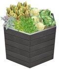 GARANTIA Hochbeet Hochbeet Stony 3D-Steinoptik L 75 (1 St&uuml;ck), Made in Germany
