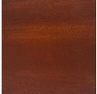 vidaXL Hochbeet Hochbeet 100x100x18,5 cm Cortenstahl (1 St)
