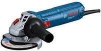 Bosch Professional Winkelschleifer &raquo;GWS 12-125&laquo;, im Karton