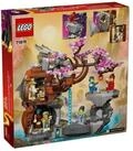 LEGO&reg; 71819 Drachenstein-Tempel Konstruktionsspielsteine
