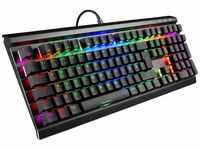 Sharkoon SKILLER SGK40 Tastatur