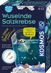 Kosmos Experimentierkasten Fun Science Wuselnde Salzkrebse, Made in Germany