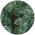 Komar Vliestapete Vlies selbstklebend - Novel Monstera - Gr&ouml;&szlig;e 125 x 125 cm, glatt,