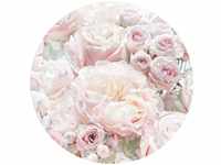 Komar Fototapete Pink and Cream Roses, (1 St), 125x125 cm (Breite x Höhe),...