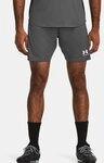 Under Armour&reg; Shorts UA M CHALLENGER TRAIN SHORT