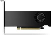 PNY RTX2000 Ada Grafikkarte