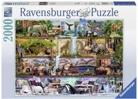 Ravensburger Puzzle Aimee Stewart, Gro&szlig;artige Tierwelt, 2000 Puzzleteile, Made...