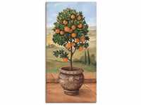 Artland Wandbild Orangenbaum, Bäume (1 St), als Leinwandbild, Wandaufkleber in