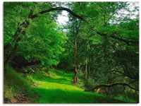 Artland Wandbild Grüner Weg durch den Wald, Wald (1 St), als Leinwandbild,...