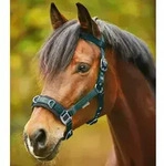 Waldhausen Trensenzaum Waldhausen Kappzaum Economic gr&uuml;n Pony
