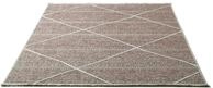 Sansibar Teppich Braderup, rechteckig, H&ouml;he: 2 mm, Flachgewebe, modernes Scandi