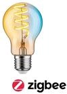 Paulmann LED-Leuchtmittel Smart Filament AGL 600lm 2200K-5500K gold 230V, 1 St.