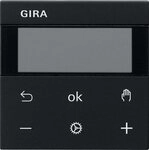 GIRA Abdeckrahmen Gira RTR Display 5393005