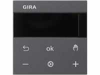 Gira System 3000 RTR Display System 55 anthrazit