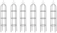 CLP Rosenbogen Romantika Set, 6 St., 6er