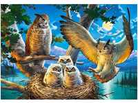 Castorland Owl Family (500 Teile)