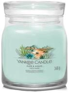 Yankee Candle Duftkerze Duftkerze Signature Glas mittel Aloe & Agave 368 g