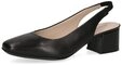 Caprice Caprice Pumps Nappaleder Pumps