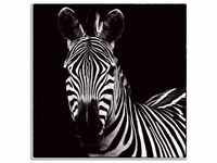 Artland Wandbild Zebra II, Wildtiere (1 St), als Leinwandbild, Wandaufkleber in