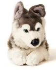 Uni-Toys Kuscheltier Husky grau, liegend - 43 cm (L&auml;nge) - Pl&uuml;sch-Hund -