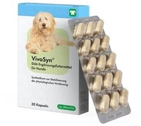 Tierdocshop VivoSyn 30 Kapseln, f&uuml;r: Hund, Di&auml;t-Erg&auml;nzungsfuttermittel f&uuml;r...