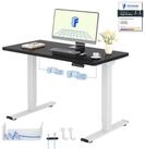 FLEXISPOT Schreibtisch Basic Plus h&ouml;henverstellbarer Schreibtisch mit