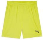 PUMA Trainingsshorts Puma Herren Short teamGOAL Shorts 705752