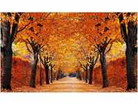 PaperMoon 18333 Autumn Alley 7-tlg. 350 x 260 cm