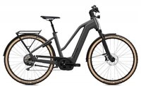 FLYER E-Bike Gotour 7.12 XC Mixed Trekkingbike Cold Anthracite