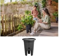 Elho Anzuchttopf green basics Erdbeertopf 33cm living schwarz