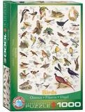 EUROGRAPHICS Puzzle V&ouml;gel, 1000 Puzzleteile
