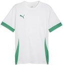 PUMA Fu&szlig;balltrikot PUMA teamGOAL Matchday Trikot Trikots Herren Teamsport