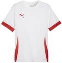 PUMA Fu&szlig;balltrikot PUMA teamGOAL Matchday Trikot Trikots Herren Teamsport