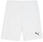 PUMA Trainingsshorts Puma Herren Short teamGOAL Shorts 705752