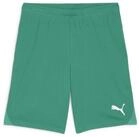 PUMA Trainingsshorts Puma Herren Short teamGOAL Shorts 705752