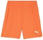 PUMA Trainingsshorts Puma Herren Short teamGOAL Shorts 705752
