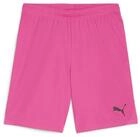 PUMA Trainingsshorts Puma Herren Short teamGOAL Shorts 705752