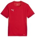 PUMA Fu&szlig;balltrikot Puma Kinder Trikot teamGOAL Matchday Jersey jr 705748