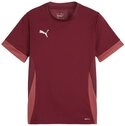 PUMA Fu&szlig;balltrikot PUMA teamGOAL Matchday Trikot Kids Trikots Kinder Teamsport