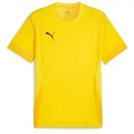 PUMA Fu&szlig;balltrikot Puma Kinder Trikot teamGOAL Matchday Jersey jr 705748 gelb...