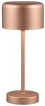 Reality Leuchten LED Tischleuchte JEFF, 1-flammig, H 30 cm, Braun, Kunststoff,